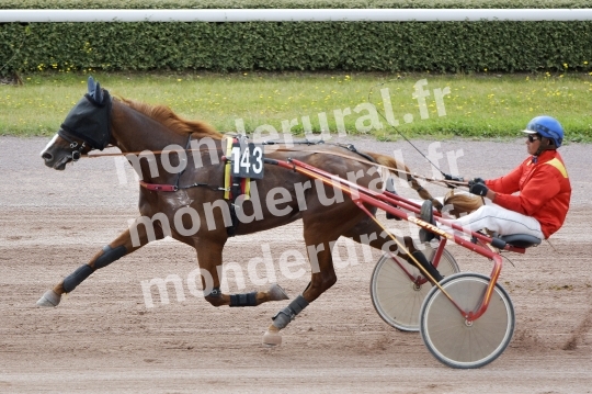 NASTRO D ORO