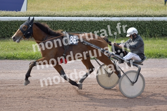 NELSON DU BAS BOSQ