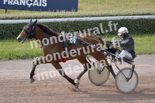 NELSON DU BAS BOSQ