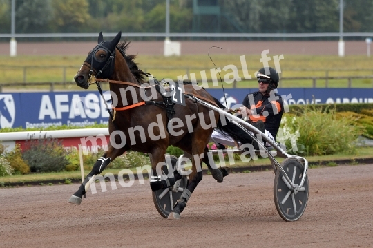 OZANO D IQUAINE
