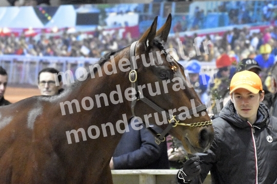 SALON DU TROT EN NORMANDIE