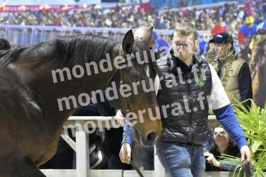 SALON DU TROT EN NORMANDIE