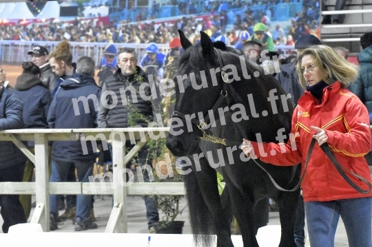 SALON DU TROT EN NORMANDIE