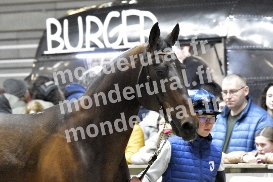 SALON DU TROT EN NORMANDIE