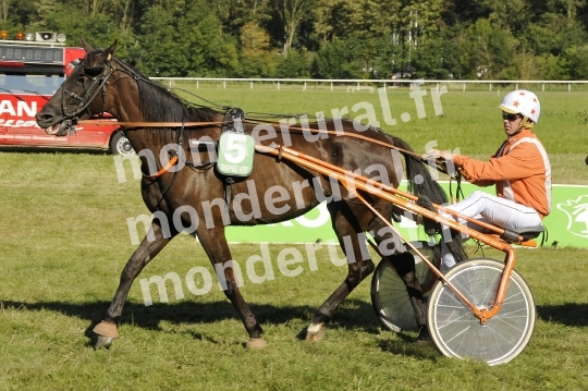 Trophee Vert - Carentan